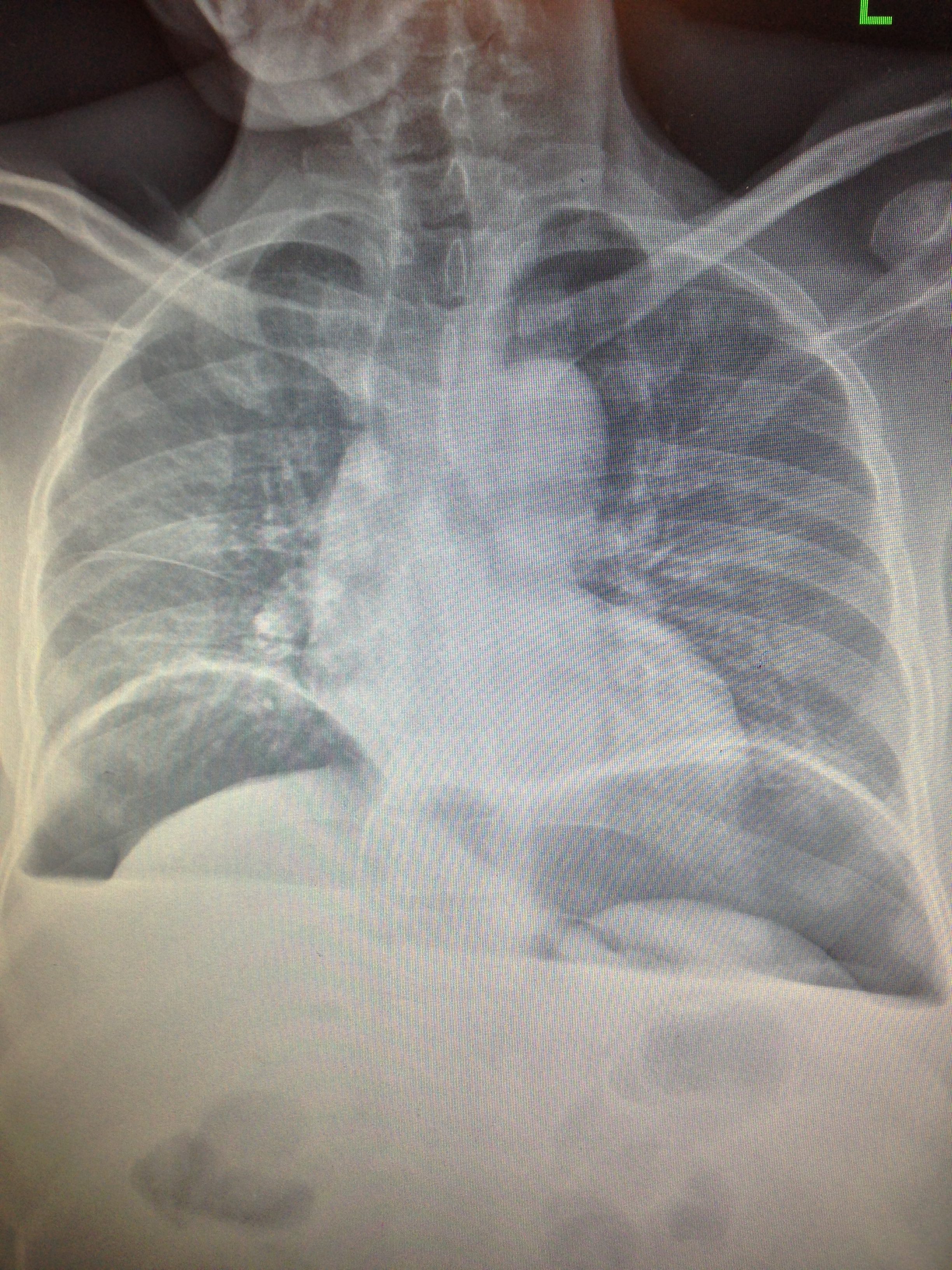 Figure 1. Figure 1.
