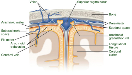 width=