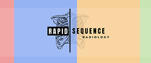 RSR logo - EMRA benefits main page_300x125.png