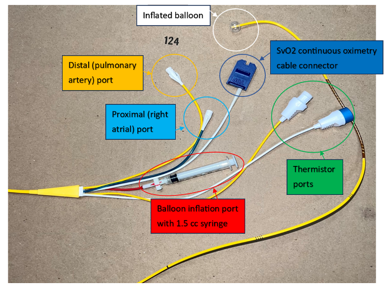 Crit Care Device - PAC 2 - Fig 1.png