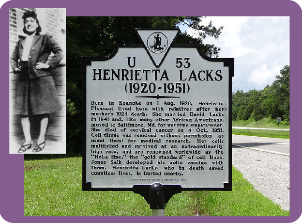 History Matters - Henrietta Lacks.png